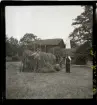 Skansen, Stockholm.