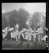 Folkdanslag. Skansen, Stockholm.