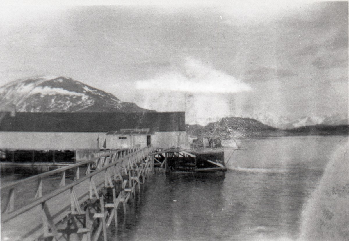 Filetfabrikken på Melbu under bygging. 27. mai 1942. Kaiens transportbro og mudring for sjette kaipillar.