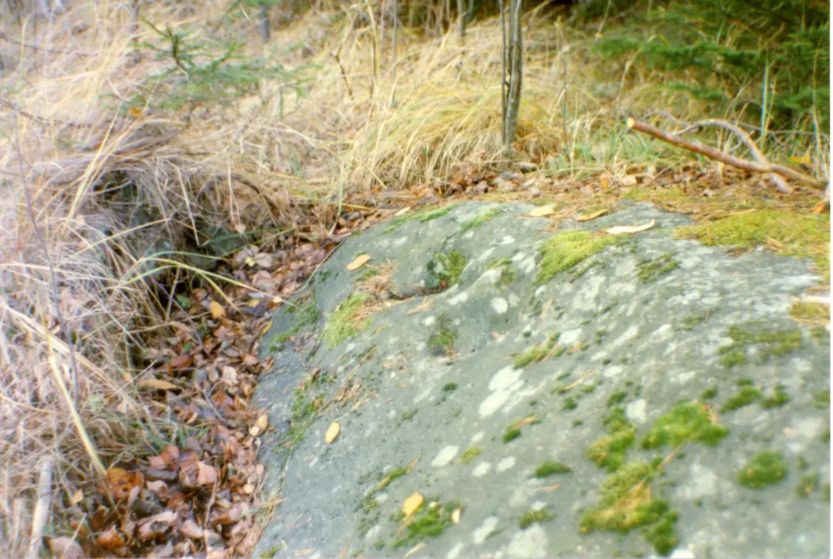 Kolerakyrkogården vid Våmfjärden, Stenskede. En berghäll med skålgropar för oljeljus vid minnesceremonier. Kyrkogården invigdes 4 oktober 1853 av prosten Zielfeldt (Värmdö kyrka).

Tre bilder, 04115, 04117 och 04119.
Belägenhet 59.283374 18.591335