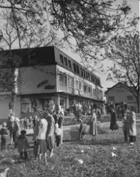 Näsby allé, Rolins Järnaffär