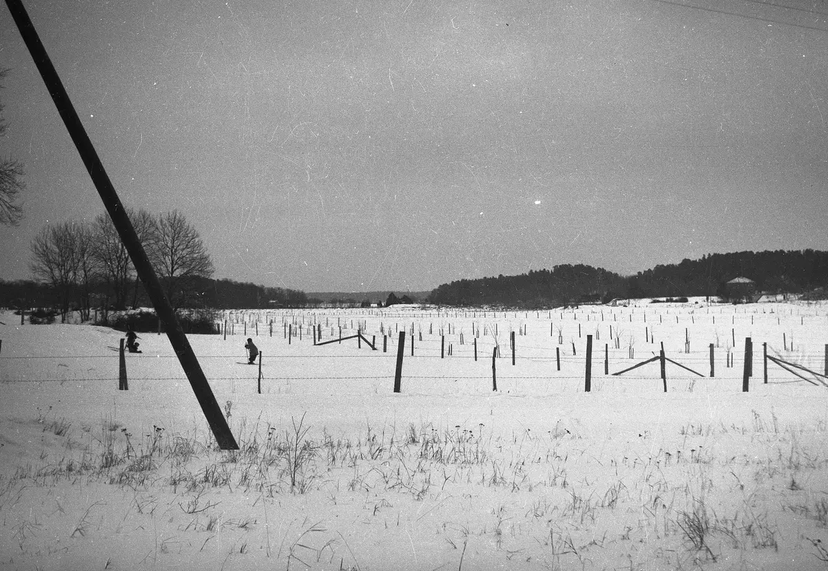 Bild tagen från korsningen Näsby allé - Tibblevägen mot Näsbyviken, det som numera delvis heter Näsby gård.
Bilden är tagen innan Roslagsbanans del mellan Lahäll och Näsbypark var byggd.
(Den var klar 1937, THF:s kommentar)
Det var hagar fram till slutet av 40-talet, sedan skördade man hö här och idrottsföreningen NAIS hade en fotbollsplan nära Tibblevägen.
Huset i fonden, till höger är Djursholmsvägen 14. ::