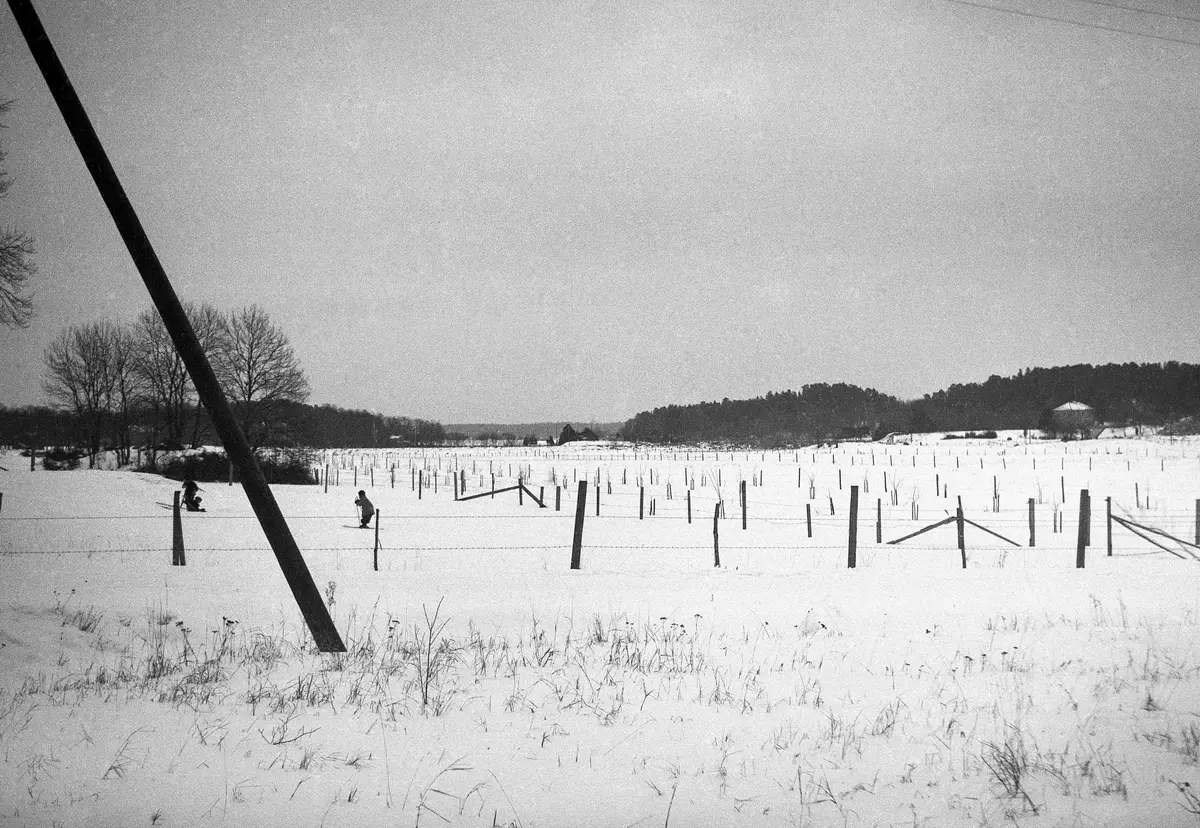 Bild tagen från korsningen Näsby allé - Tibblevägen mot Näsbyviken, det som numera delvis heter Näsby gård.
Bilden är tagen innan Roslagsbanans del mellan Lahäll och Näsbypark var byggd.
(Den var klar 1937, THF:s kommentar)
Det var hagar fram till slutet av 40-talet, sedan skördade man hö här och idrottsföreningen NAIS hade en fotbollsplan nära Tibblevägen.
Huset i fonden, till höger är Djursholmsvägen 14. ::