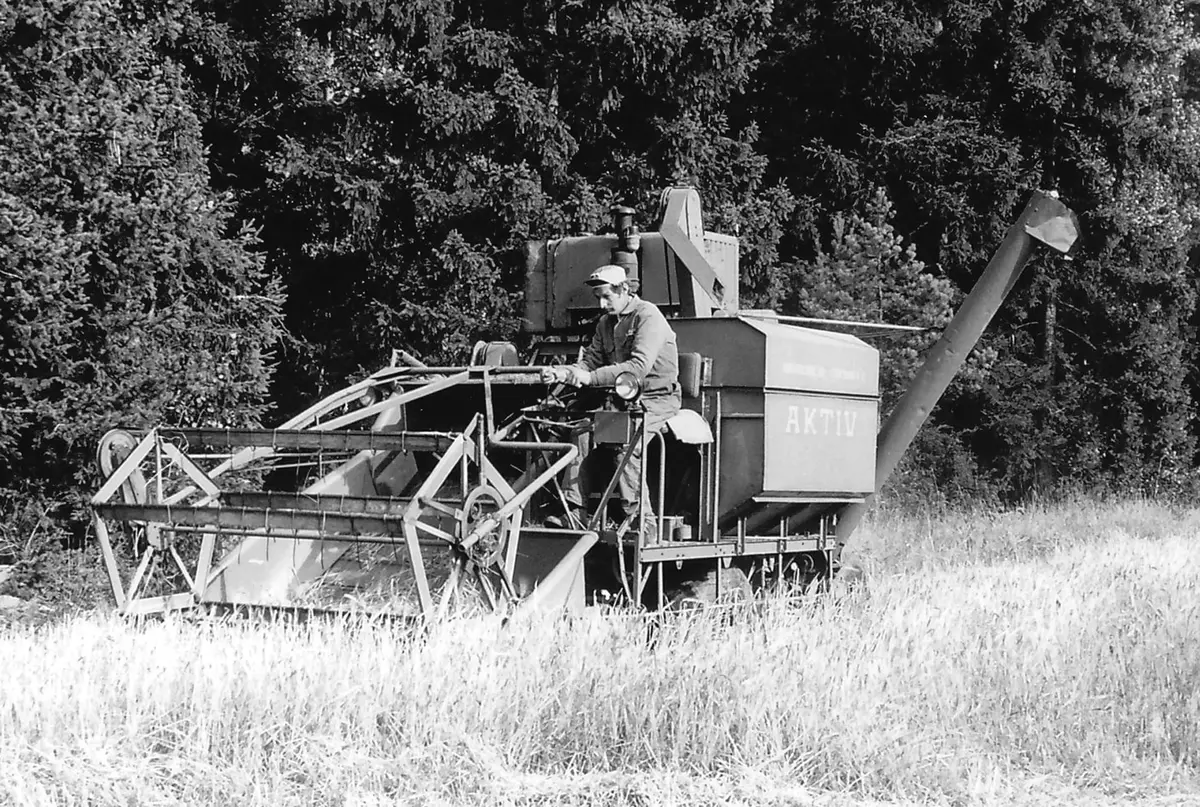 Bo Carlsson tröskar. Mitten på 1960-talet.