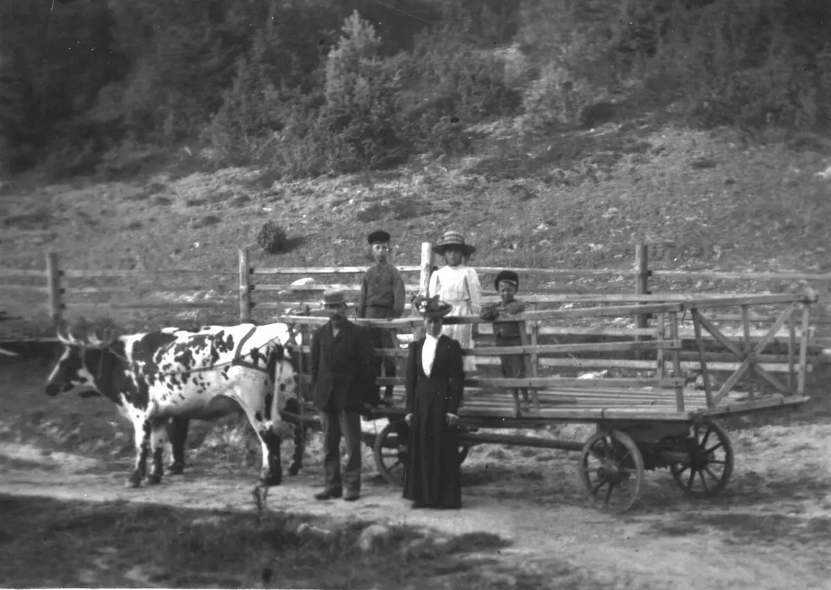 Erik Albert Johansson f 1870, hustrun Johanna Sofia Sjöblom f 1868. Hans barn i tidigare äktenskap Karl Albert och Karl Edvin, samt hennes barn Edit Sofia.