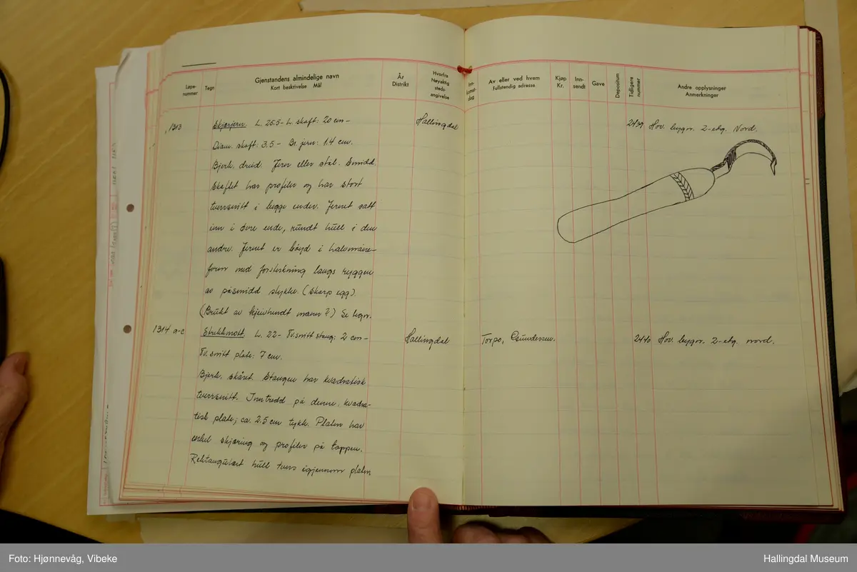 Bjørk, skåret. Stangen har kvadratisk tverrsnitt.