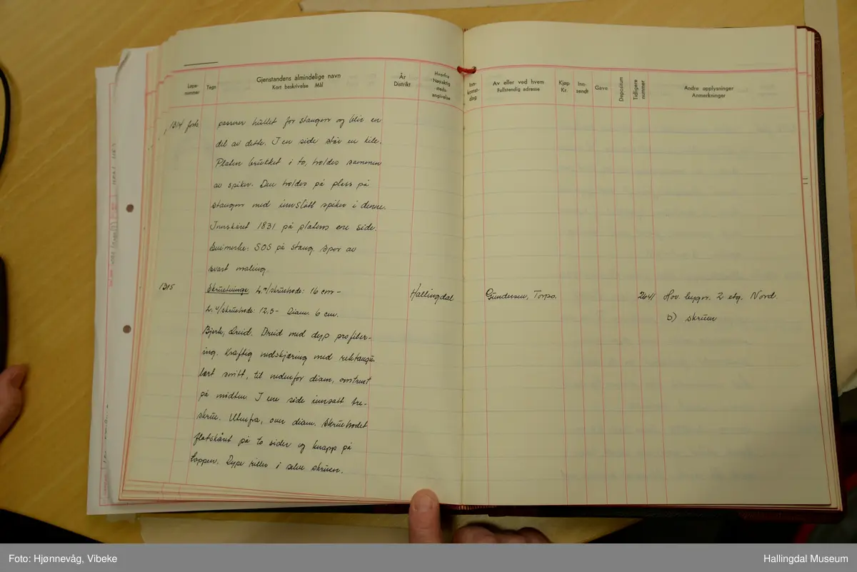 Bjørk, skåret. Stangen har kvadratisk tverrsnitt.