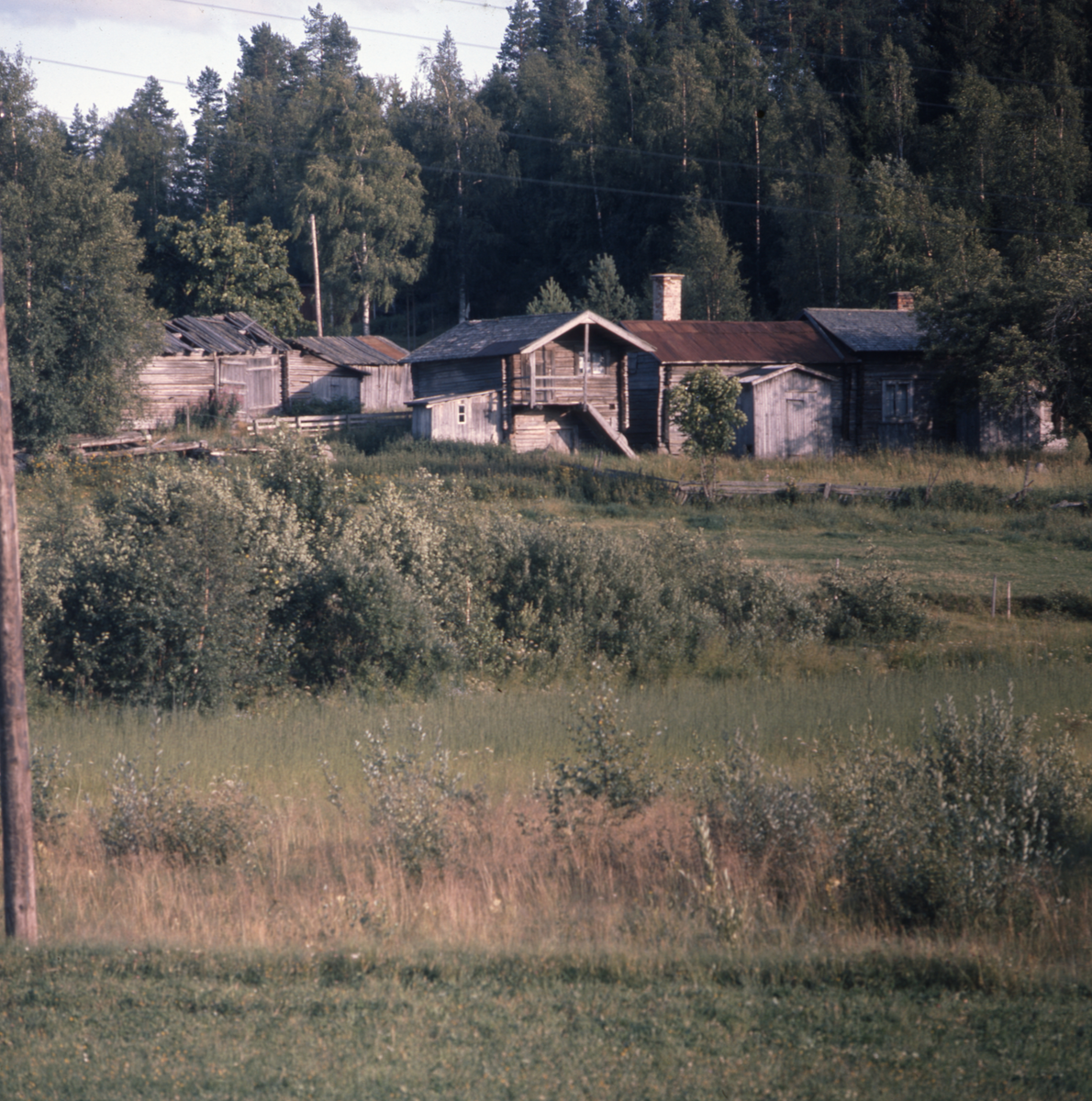 En gård med timrade hus samt några förfallna skjul.