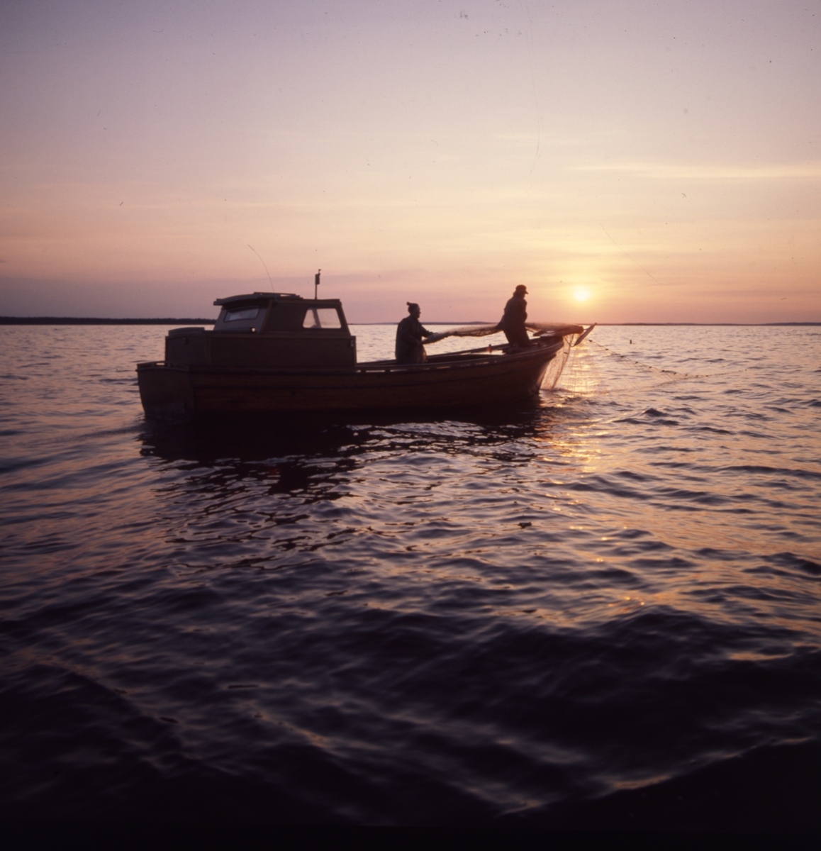 Två personer i en fiskebåt lägger nät ute i vattnet. Solen står lågt på himlen.