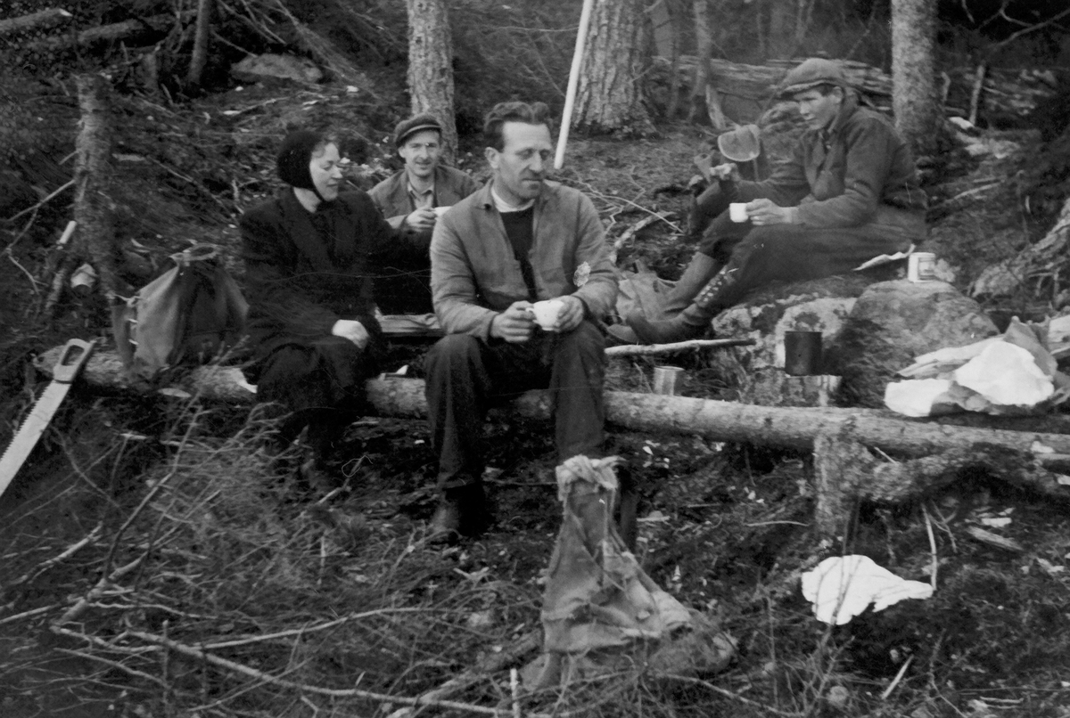 Tømmerhogst i Reineskogen 1948.
Fra venstre: Elise Holt, Arne Langtangen, Sigurd Engrønningen, Olai Hillestad.