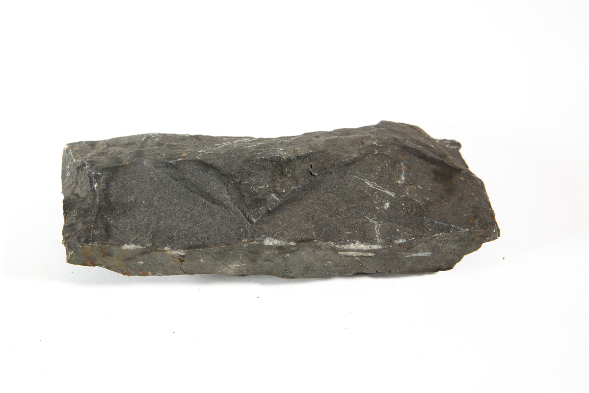 Bergskolens samling
Liten etikett angir sannsynligvis stuffnummer etter siste revisjon av samlingen

Etiketter:

Bergart
Nr. 48