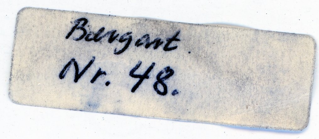Bergskolens samling
Liten etikett angir sannsynligvis stuffnummer etter siste revisjon av samlingen

Etiketter:

Bergart
Nr. 48