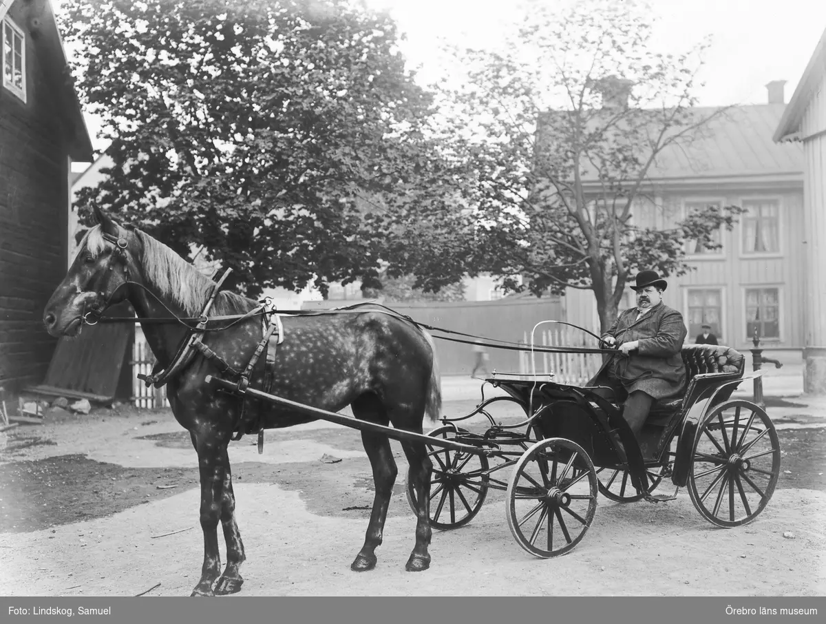 Veterinär E. Ringström, med häst och vagn.