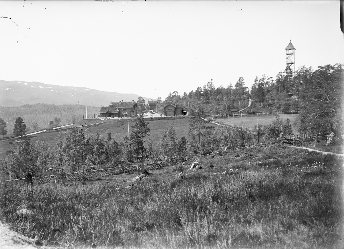 Fjellheim, oversiktsbilde.