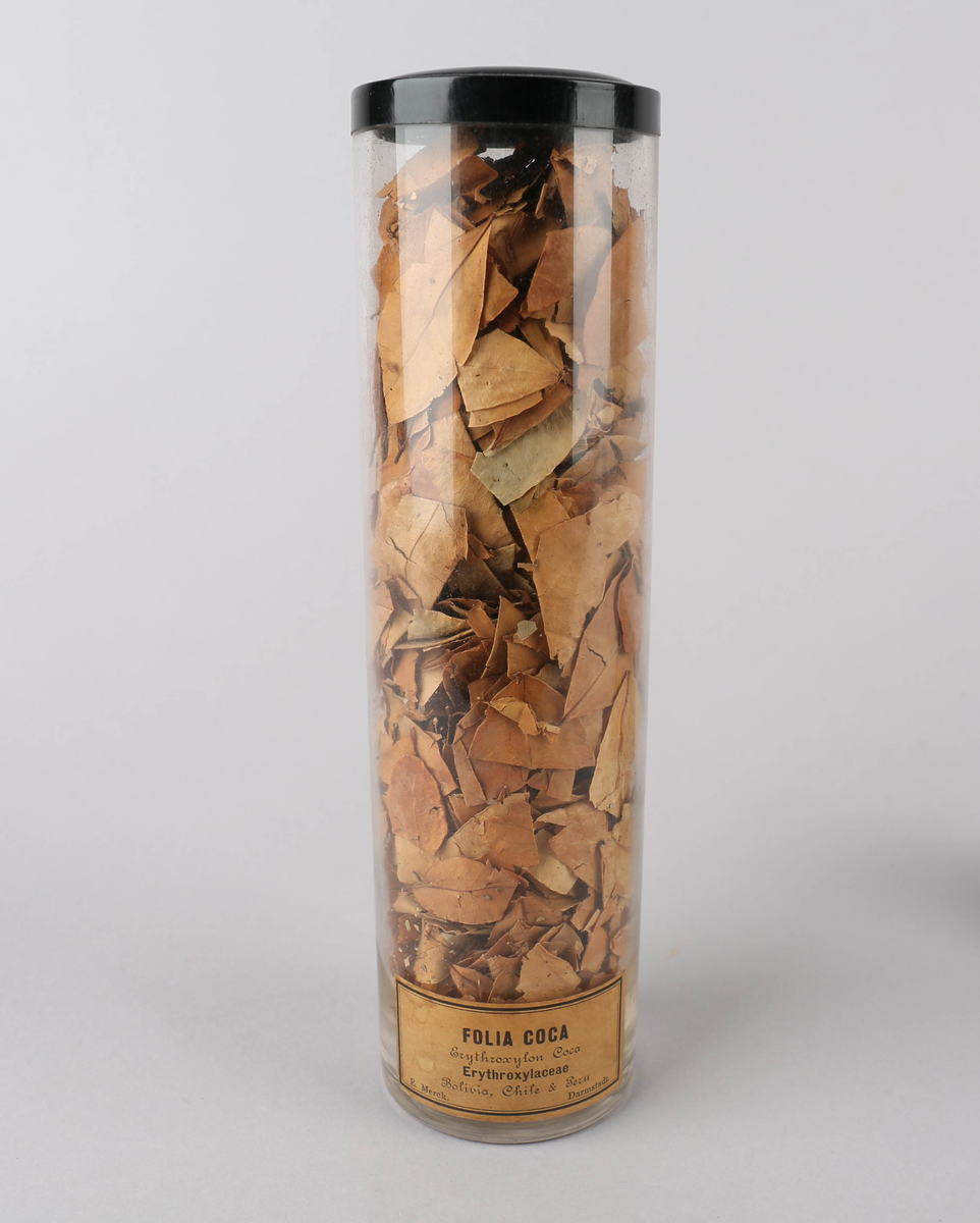 Tørket Folia coca (kokablader) oppbevart i glassylinder av klart glass med lokk. Drogen har lysebrun farge. Beholderen har gulnet etikett med sort skrift og ramme.