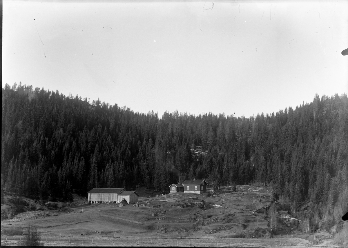 Motiv fra gården Romsdalen.

Fotosamling etter fotograf og skogsarbeider Ole Romsdalen (f. 23.02.1893).