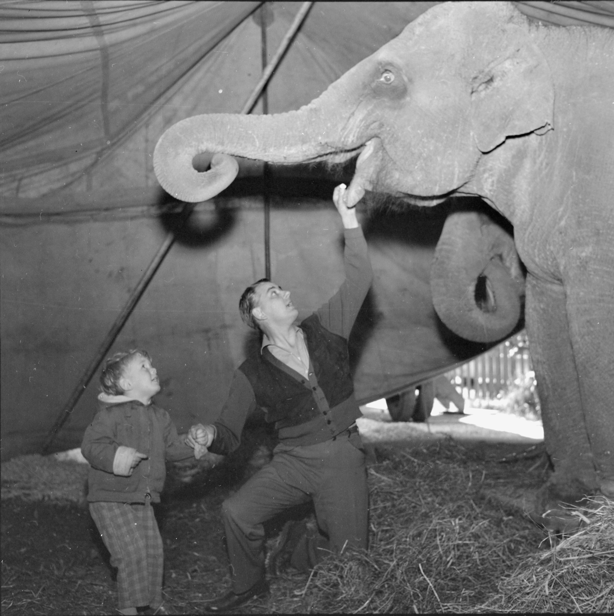 Cirkus Zoo besøker byen