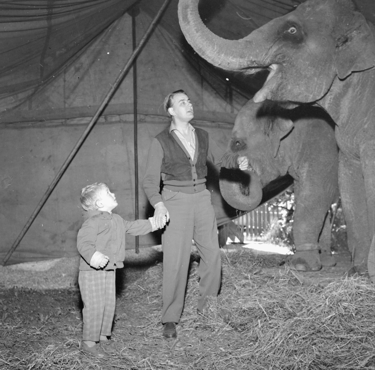 Cirkus Zoo besøker byen