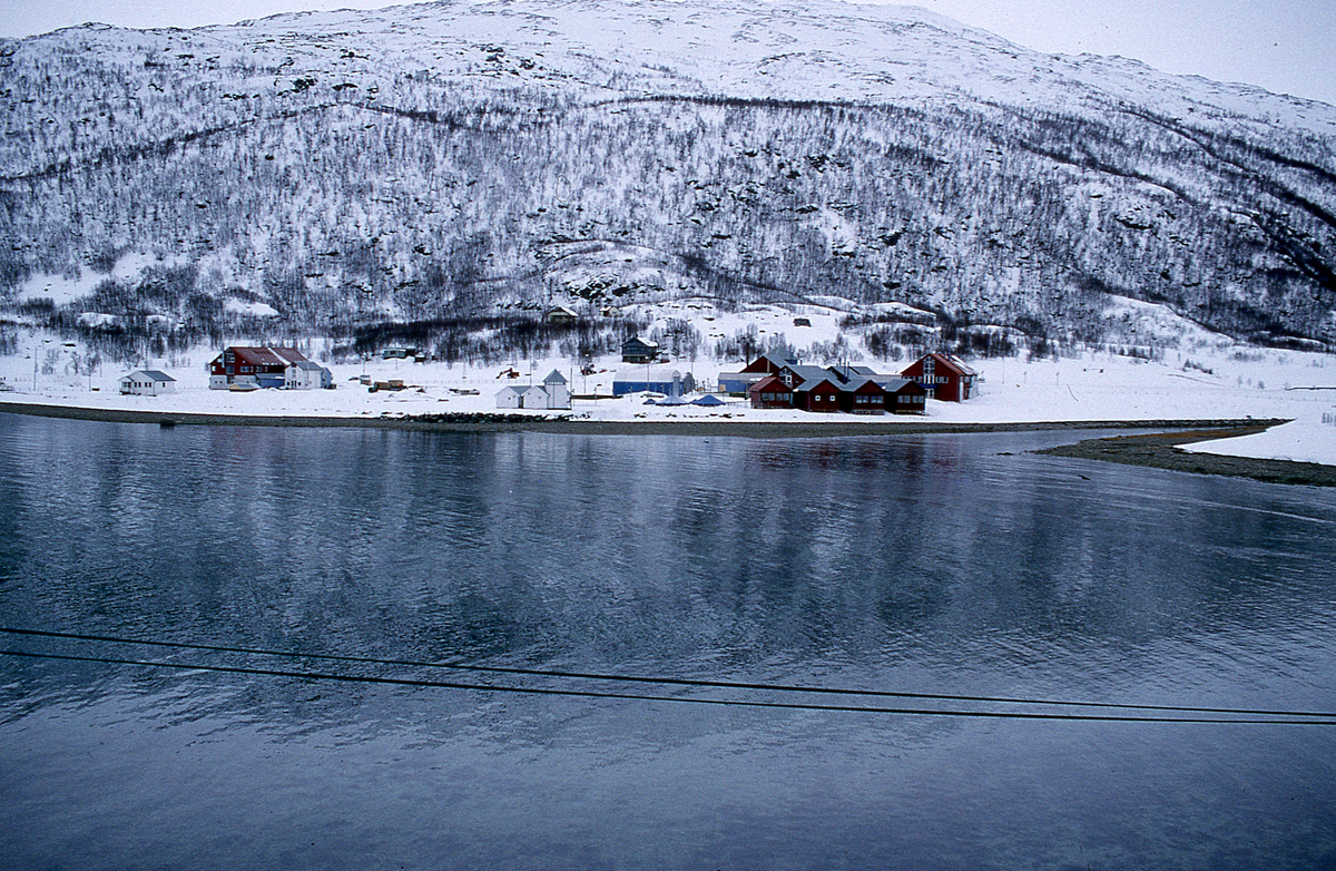 Forsøksanlegg, Kårvika på Ringvassøy, UiT (1994) : Prospektbilde, kystlandskap og bebyggelse.