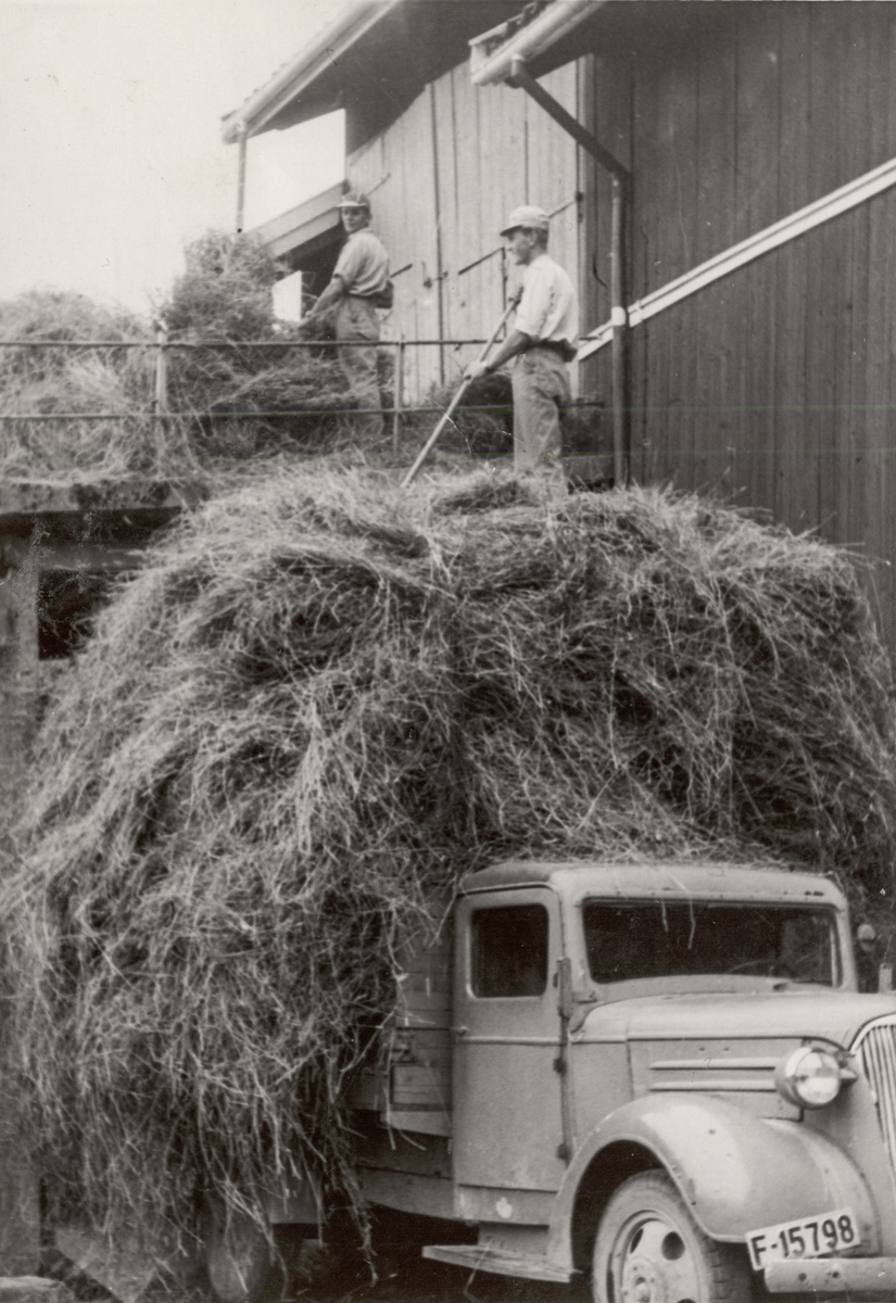 Høykjøring med lastebil hos Dahl på Eid, Hvittingfoss.
Lastebilen er en Chevrolet 1937 modell.
Personer ikke identifiserte.