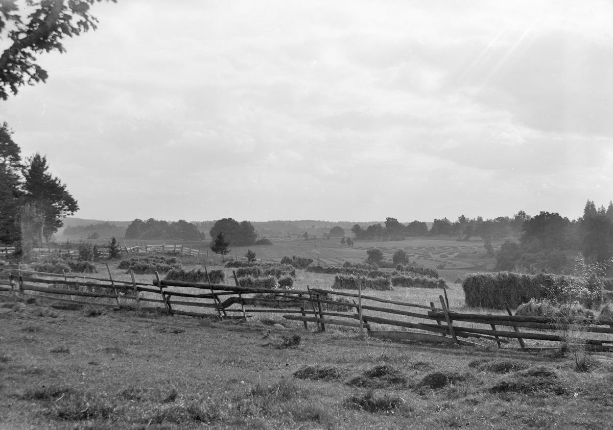 Lantlig idyll från Linköpings södra delar. Linköpingsfotografen Didrik von Essen tog bilden omkring år 1900 men därefter saknades tidigare slutsatser kring vyns orientering. Med extern hjälp är motivet emellertid och lyckligtvis klarlagt. Fotografen stod vid dagens Ramstorpsgatan med kameran riktad söderut. Skymd i bildens mellangrund rinner Tinnerbäcken och i partiet bortom skulle långt senare bebyggelsen utmed Knekt-, Luftvärns- och Pionjärgatorna tillkomma. I bakgrunden således området Skarpan.