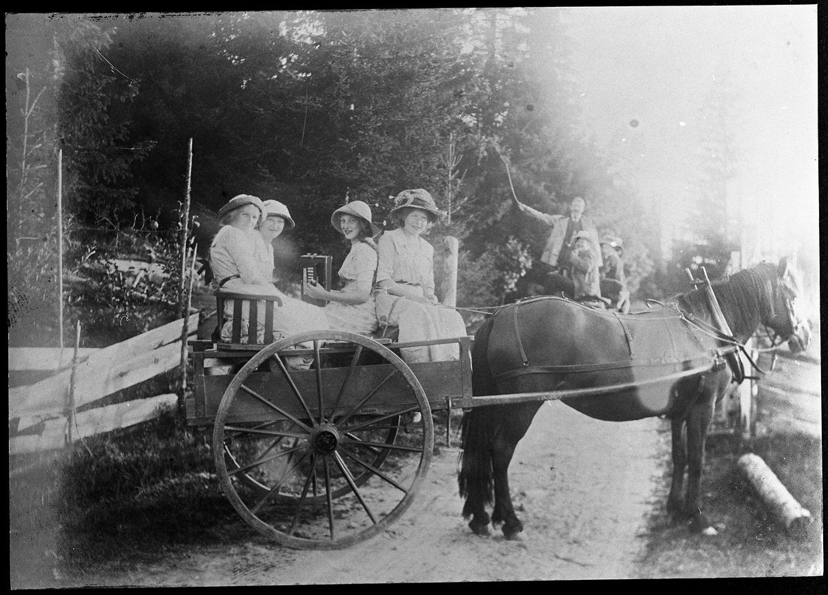 På veg hjem fra Totenåsen året 1915. Personer: Til venstre Magda Nettum, Gudrun Ramstad, Frk. Ramstad (med trekkspill, fornavn ukjent), og Anna Ramstad. De øvrige er ukjente.