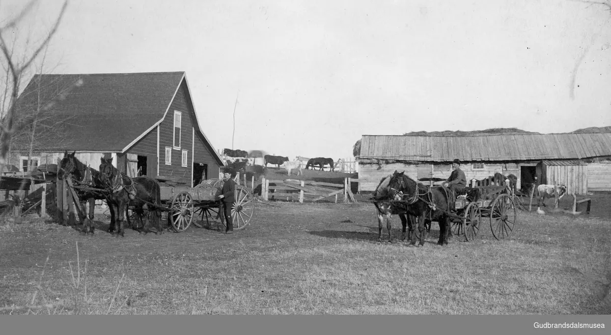 Benson, Minnesota.
Eier Pål Arne Snerle. Vågå.