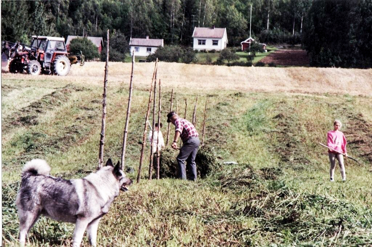 Slottonn med hesjing på Gulli i Hvittingfoss.
