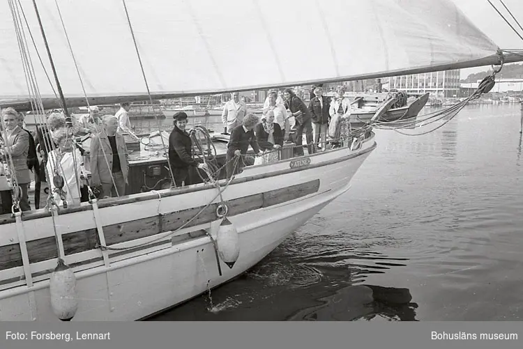 Enligt medföljande text: "Bohusläns museum 1981-1984. Bm:s nybyggnad och invigning".