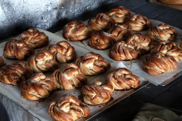 Steinovsbakte kaneknuter på Rosvoll