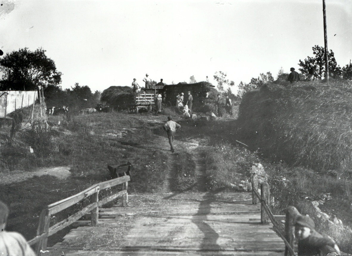 Tröskningsarbete under krigsåret 1916.