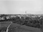 Linköping från utsiktstornet Belvederen. Vy mot norr med ett blickfång från Kanbergets höjder i vänster bildkant till Jonn O Nilsons hus invid Stora torget till höger. Odaterad bild från omkring sekelskiftet 1900.