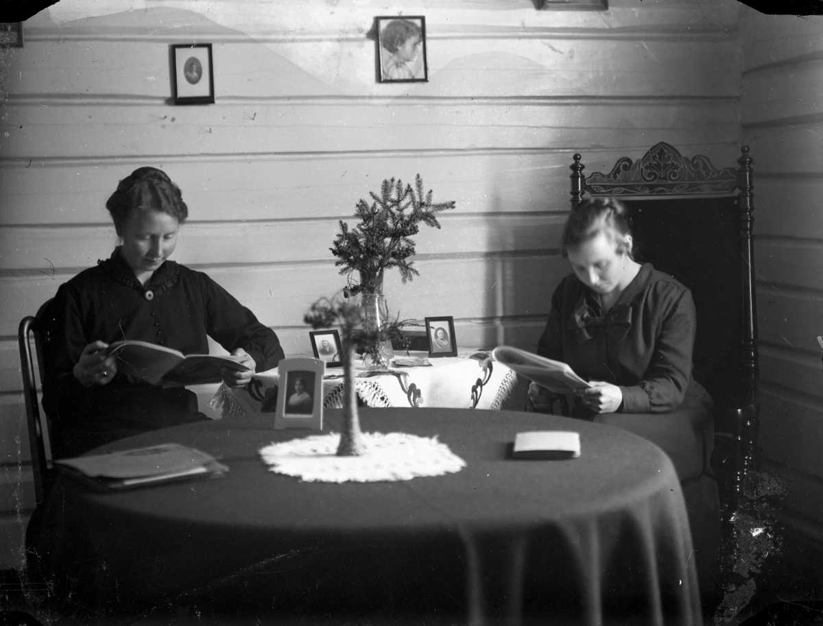 Portrett av to kvinner.

Fotosamling etter fotograf og skogsarbeider Ole Romsdalen (f. 23.02.1893).