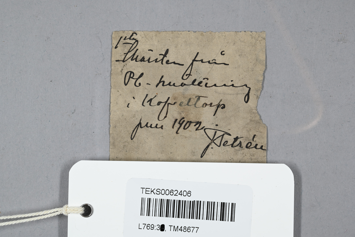 Materialprov, grå-svart. Tillhörande lapp med notering: "1:sta skärsten från Pb-smältning i Kafveltorp, Juli 1902, J. Petrén".