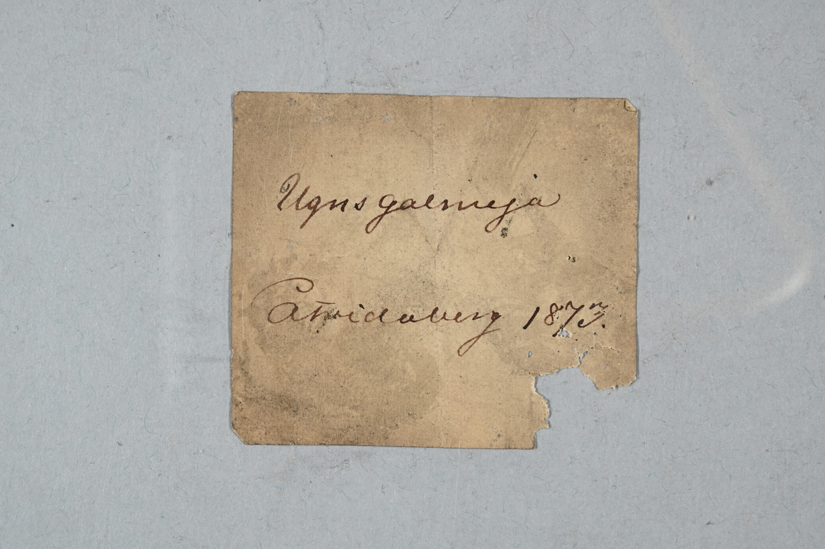 Sju materialprover. En grå och grönaktig, fem grön och vitaktiga och en gråaktig med skimmer. Tillhörande lapp med notering: "Ugnsgalmeja, Åtvidaberg, 1873".