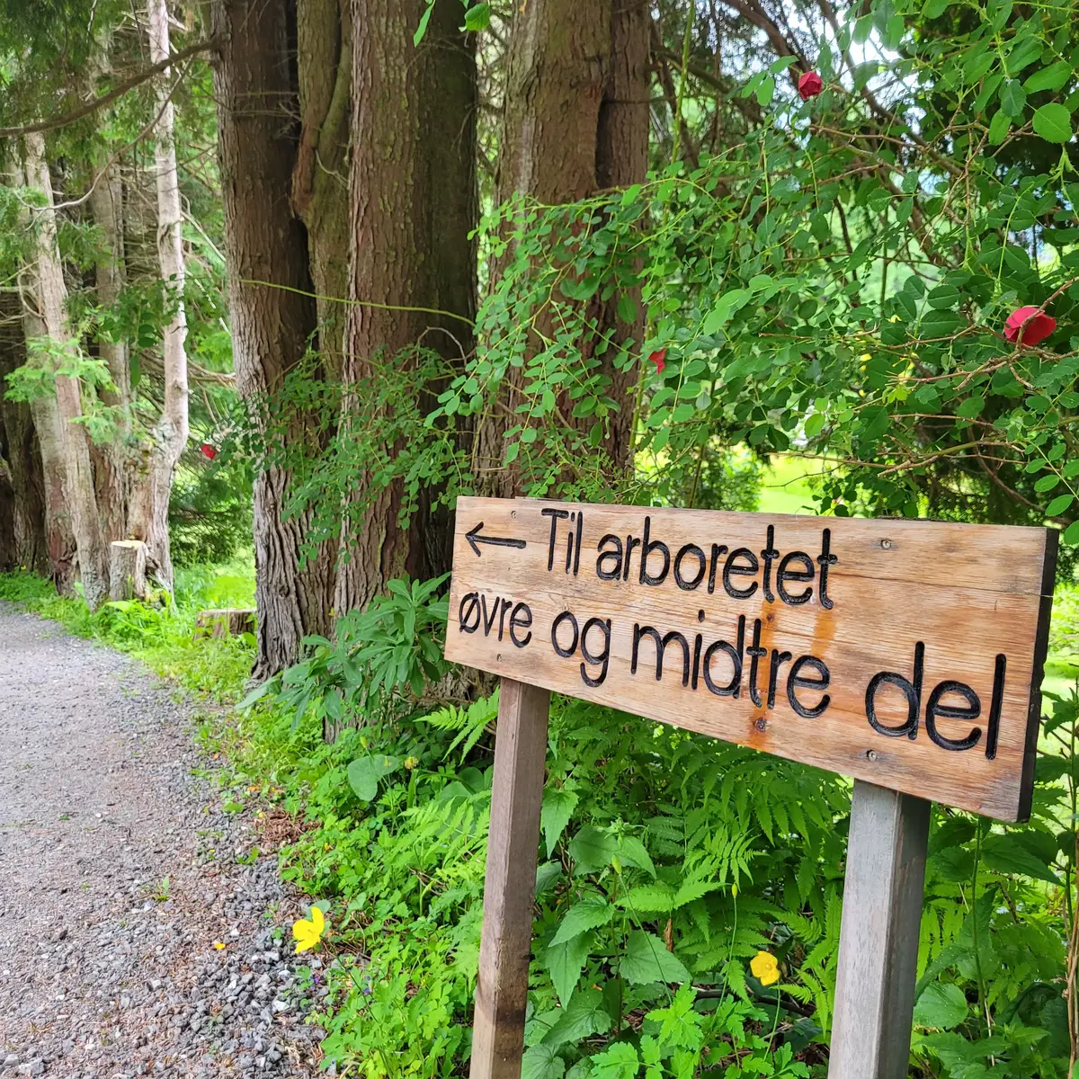 Skilt inn til Svinviks arboret