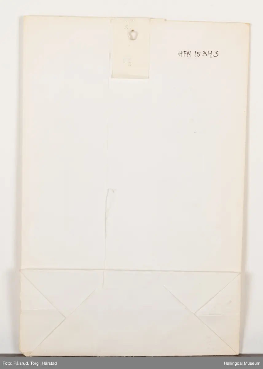 En hvit papirpose med informasjon om Tubfrim i forskjellige fonter på forsiden. Skriften er blå. Baksiden er blank. Teksten er rammet inn med en enkel rød linje, øverst er et grafisk element ment å etterligne et blått poststempel med to horisontale striper i rødt og blått på hver side. Logoen til Tubfrim er oppført nederst.