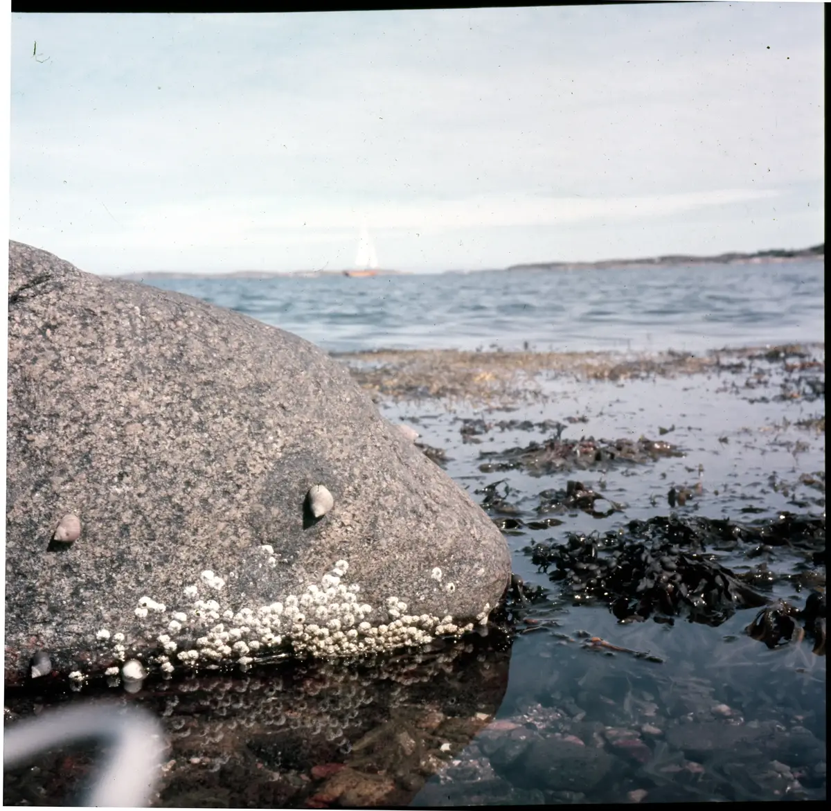 Färgdia: Sol i kölvatten. Hus vid kust. Mot Älvsborgs fästning. Eka i sjö. Halat segel, bergvägg. Vyer. Bergmönster. Par på strand. Sandmönster. Gerlesborg. Kolhättan(?). Solnedgång över havet. Bärnsten(??) och glas. Stenstrand. Nedisad kust, Tjörn. Musselskal. Lavar, posthornssnäcka. Fiskebod, strandväxter. Moln. Hästar betar, vy mot Älvsborgs fästning. Två i kajak. Snö. Kustbåt. Roende. Brygga i dis. Pojke vid eka, vy. Sandstrand med vågor, Hirthals, fiskare går. Musslor, tång, stenar. Söt vik. Hed. Ror eka i sund. Med fiskeläge och segelfartyg. Småbåtshamn, vy.
