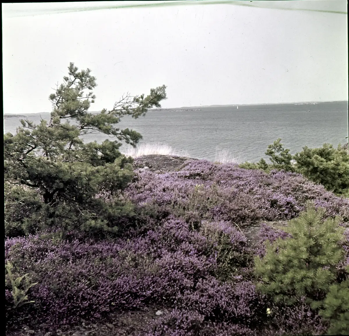 Färgdia: Sol i kölvatten. Hus vid kust. Mot Älvsborgs fästning. Eka i sjö. Halat segel, bergvägg. Vyer. Bergmönster. Par på strand. Sandmönster. Gerlesborg. Kolhättan(?). Solnedgång över havet. Bärnsten(??) och glas. Stenstrand. Nedisad kust, Tjörn. Musselskal. Lavar, posthornssnäcka. Fiskebod, strandväxter. Moln. Hästar betar, vy mot Älvsborgs fästning. Två i kajak. Snö. Kustbåt. Roende. Brygga i dis. Pojke vid eka, vy. Sandstrand med vågor, Hirthals, fiskare går. Musslor, tång, stenar. Söt vik. Hed. Ror eka i sund. Med fiskeläge och segelfartyg. Småbåtshamn, vy.