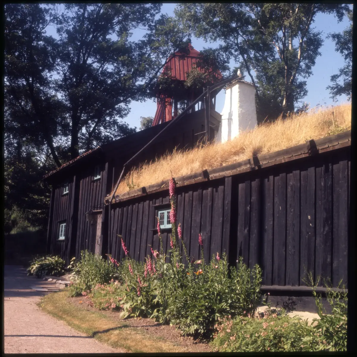 Färgdia: Slottsskogen, med promerande, bergtall, gamla polisstugan, vilande, lekplats och utsiktstornet. Moores skulptur. Höstlöv som krattas. Vy mot naturhistoriska. Mycket snö. Vitsippor. Mamma matar fåglar. Vinter i Slottsskogen år 1973. Höstlöv. Äldre människor på bänkar. Växter och blommor. Björkstam. Talgoxe på hand. Landskapsstuga. Parkarbete. Familj på gräsmatta. Hav av gula och röda tulpaner, spårvagn, troligen Kungsparken.