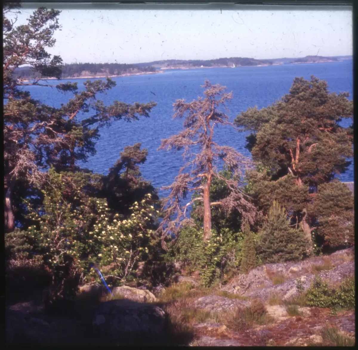 Färgdia: Sol i kölvatten. Hus vid kust. Mot Älvsborgs fästning. Eka i sjö. Halat segel, bergvägg. Vyer. Bergmönster. Par på strand. Sandmönster. Gerlesborg. Kolhättan(?). Solnedgång över havet. Bärnsten(??) och glas. Stenstrand. Nedisad kust, Tjörn. Musselskal. Lavar, posthornssnäcka. Fiskebod, strandväxter. Moln. Hästar betar, vy mot Älvsborgs fästning. Två i kajak. Snö. Kustbåt. Roende. Brygga i dis. Pojke vid eka, vy. Sandstrand med vågor, Hirthals, fiskare går. Musslor, tång, stenar. Söt vik. Hed. Ror eka i sund. Med fiskeläge och segelfartyg. Småbåtshamn, vy.