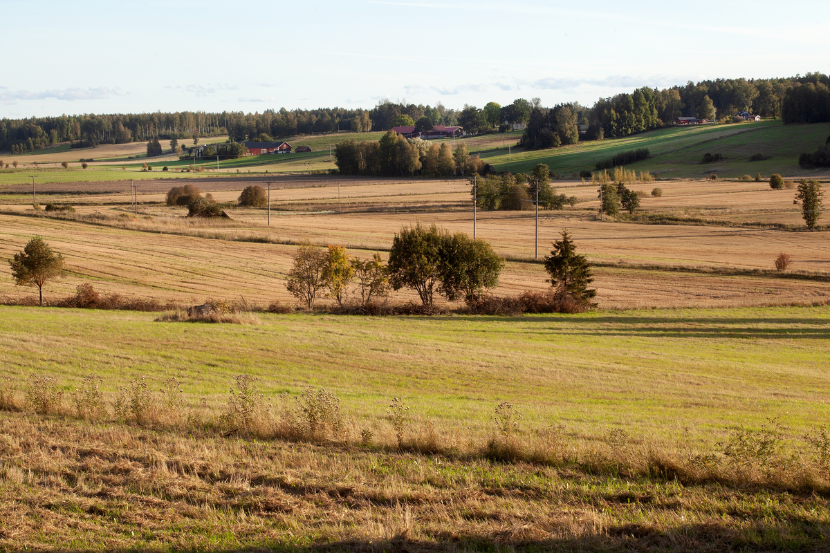 Odlingslandskap, Hårsbäcksdalen, Västerlövsta socken, Uppland 2021