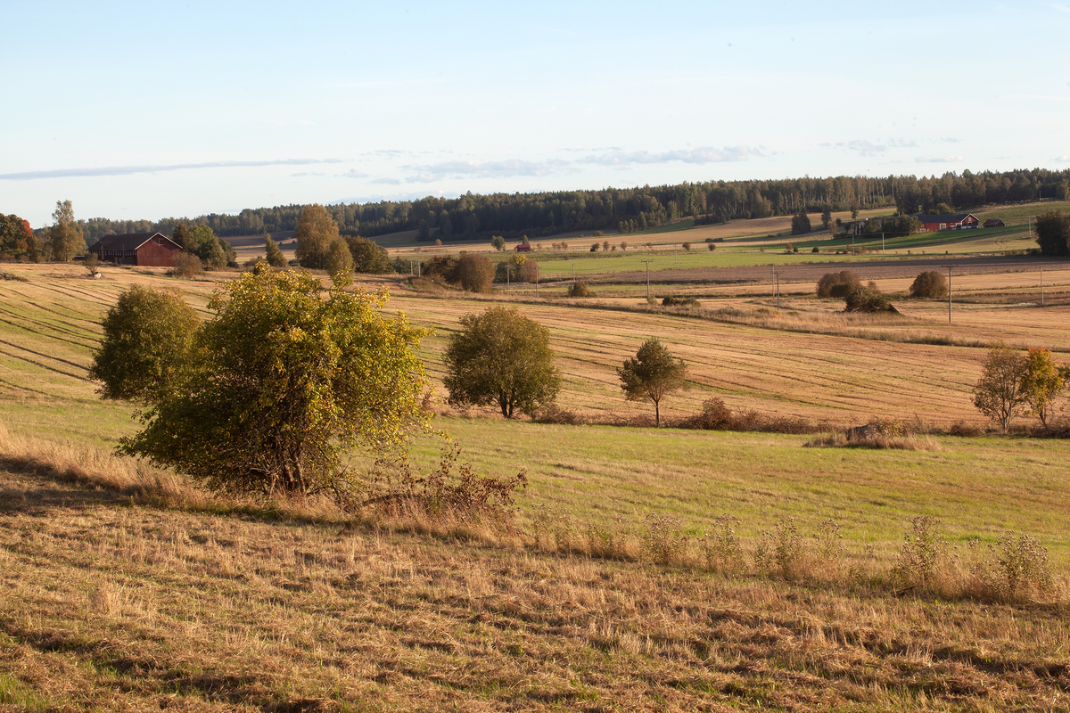 Odlingslandskap, Hårsbäcksdalen, Västerlövsta socken, Uppland 2021