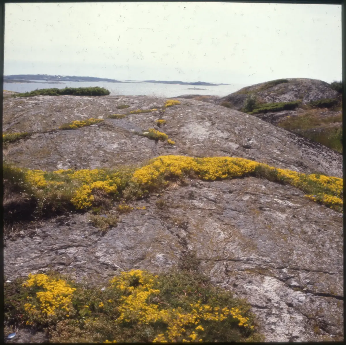 Färgdia: Sol i kölvatten. Hus vid kust. Mot Älvsborgs fästning. Eka i sjö. Halat segel, bergvägg. Vyer. Bergmönster. Par på strand. Sandmönster. Gerlesborg. Kolhättan(?). Solnedgång över havet. Bärnsten(??) och glas. Stenstrand. Nedisad kust, Tjörn. Musselskal. Lavar, posthornssnäcka. Fiskebod, strandväxter. Moln. Hästar betar, vy mot Älvsborgs fästning. Två i kajak. Snö. Kustbåt. Roende. Brygga i dis. Pojke vid eka, vy. Sandstrand med vågor, Hirthals, fiskare går. Musslor, tång, stenar. Söt vik. Hed. Ror eka i sund. Med fiskeläge och segelfartyg. Småbåtshamn, vy.