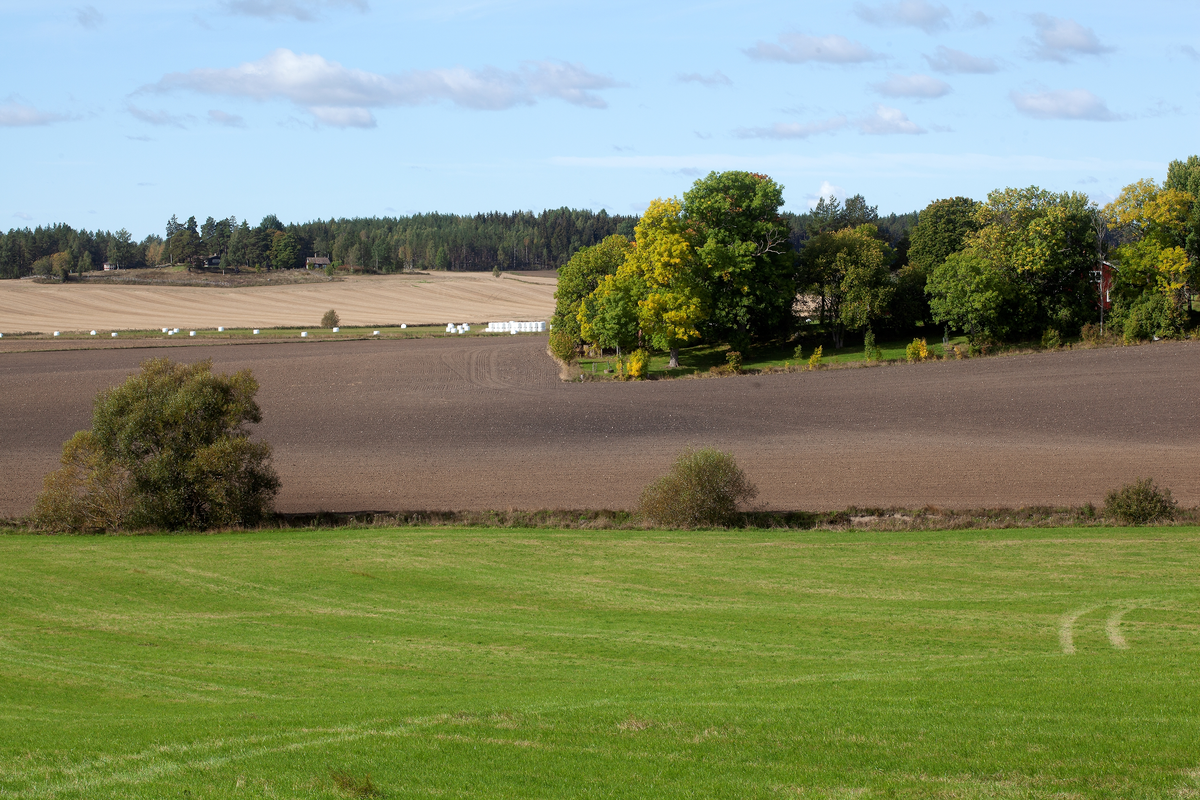 Odlingslandskap, Hårsbäcksdalen, Västerlövsta socken, Uppland 2021