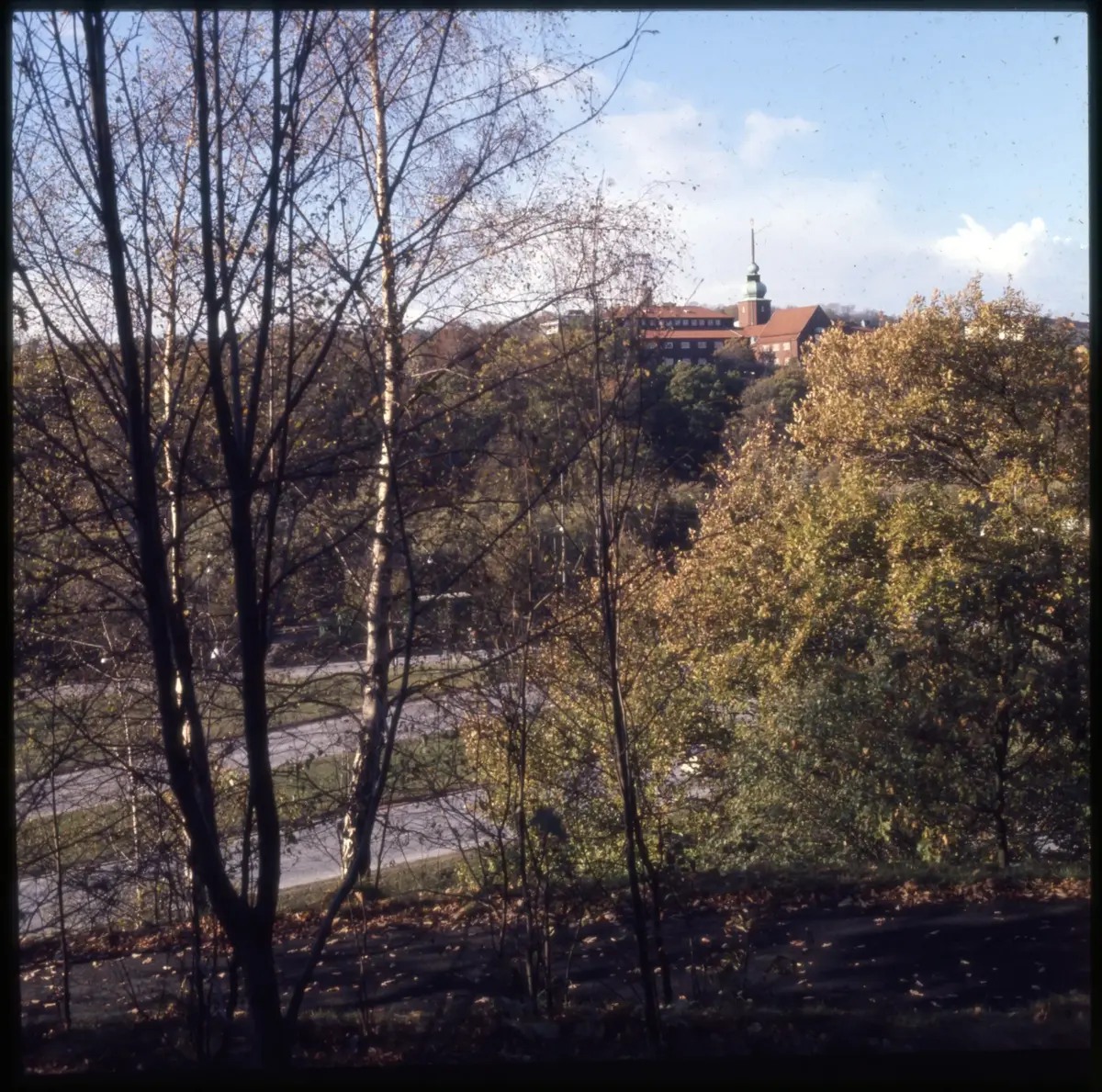 Färgdia: Slottsskogen, med promerande, bergtall, gamla polisstugan, vilande, lekplats och utsiktstornet. Moores skulptur. Höstlöv som krattas. Vy mot naturhistoriska. Mycket snö. Vitsippor. Mamma matar fåglar. Vinter i Slottsskogen år 1973. Höstlöv. Äldre människor på bänkar. Växter och blommor. Björkstam. Talgoxe på hand. Landskapsstuga. Parkarbete. Familj på gräsmatta. Hav av gula och röda tulpaner, spårvagn, troligen Kungsparken.