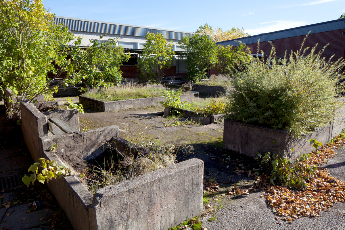 Tiundaskolans skolgård, Uppsala 2015