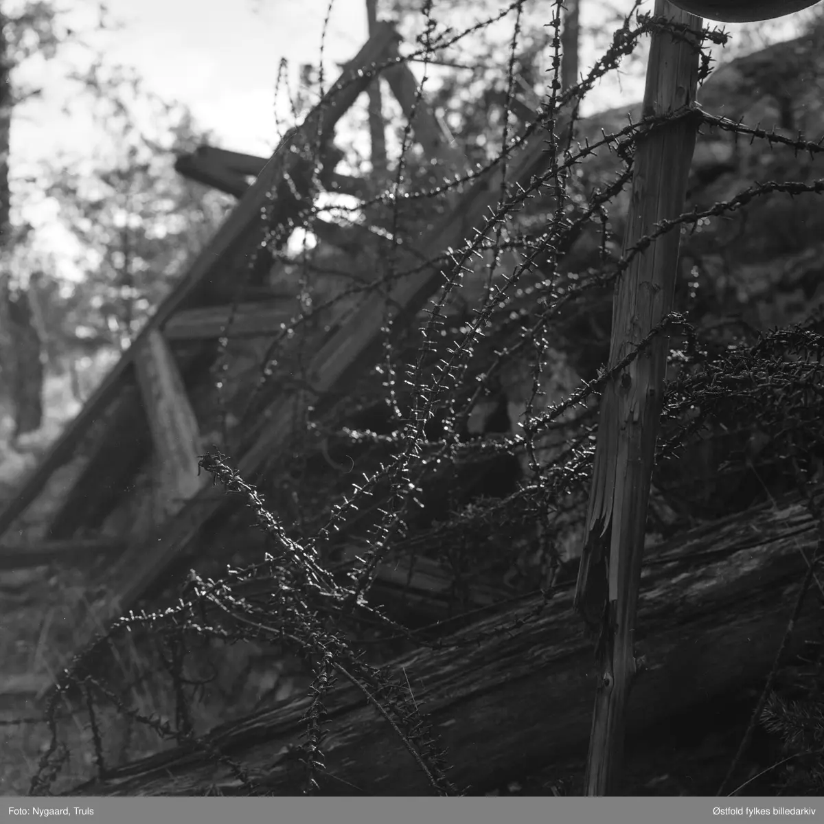 "Piggtråd ved porten (etter Wehrmacht?)". Hjelmkollen fort i Halden anlagt 1905, videre utbygd under 2. verdenskrig.