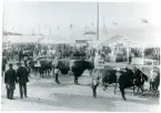 Sala sf.
Sala stad 300 år, 1924.