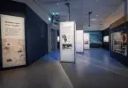 Utställning, museiaktivitet 